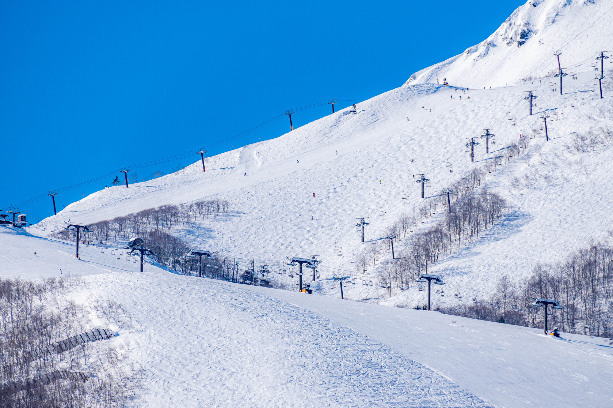 安比高原スキー場 リフト券(ブルーパス) - スキー